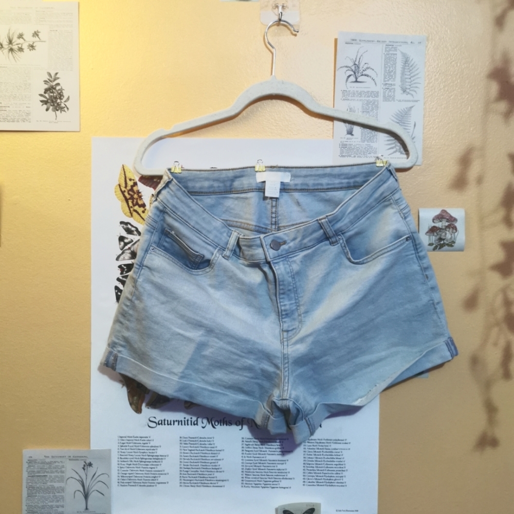 H&M Shorts Light blue Jean high waisted